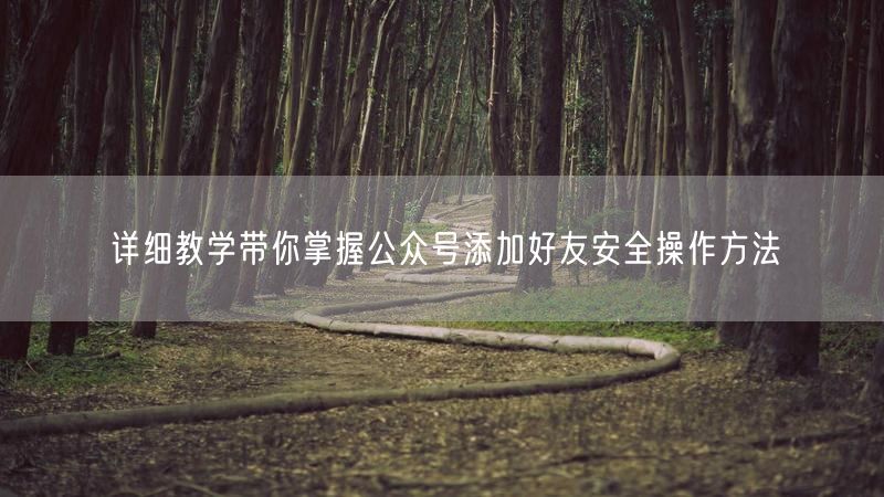 详细教学带你掌握公众号添加好友安全操作方法