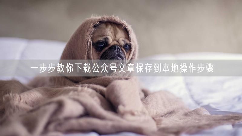 一步步教你下载公众号文章保存到本地操作步骤