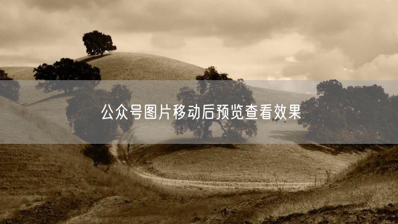 公众号图片移动后预览查看效果