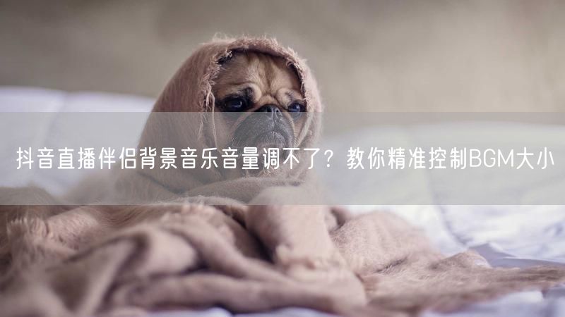 抖音直播伴侣背景音乐音量调不了？教你精准控制BGM大小