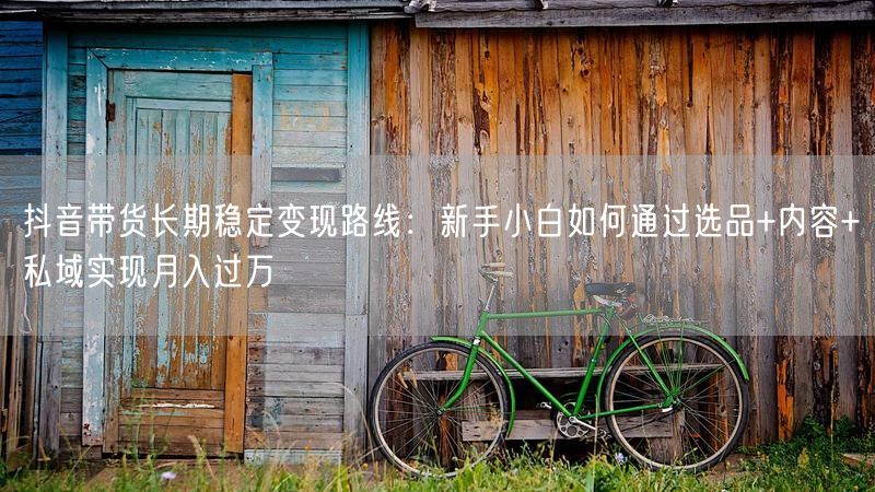 抖音带货长期稳定变现路线：新手小白如何通过选品+内容+私域实现月入过万