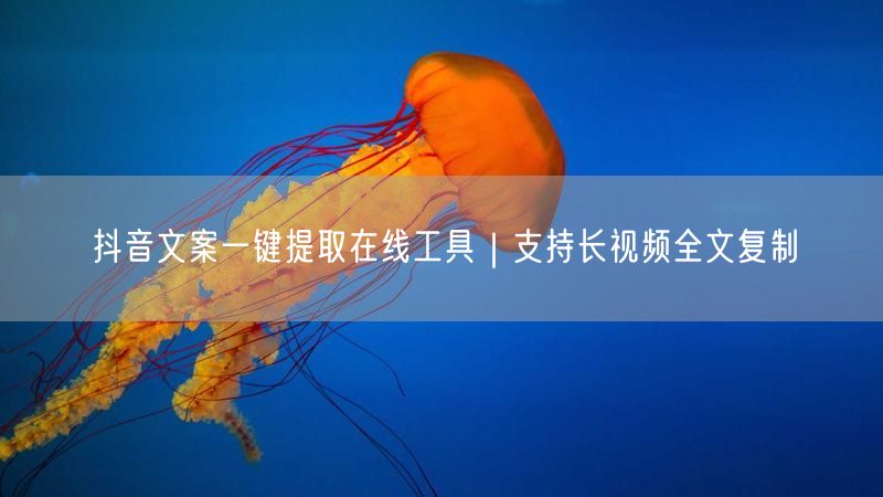 抖音文案一键提取在线工具｜支持长视频全文复制