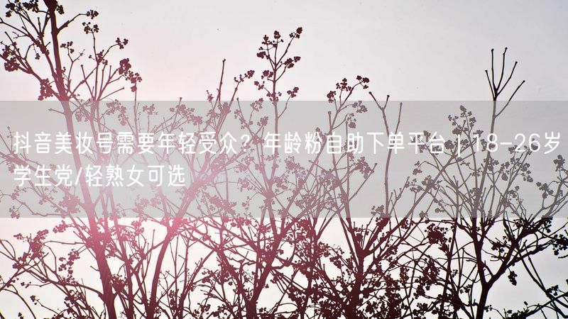 抖音美妆号需要年轻受众？年龄粉自助下单平台｜18-26岁学生党/轻熟女可选