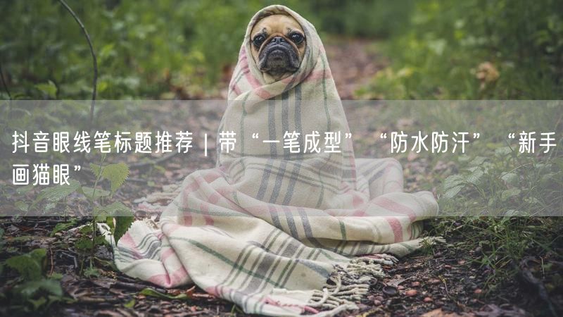 抖音眼线笔标题推荐｜带“一笔成型”“防水防汗”“新手画猫眼”