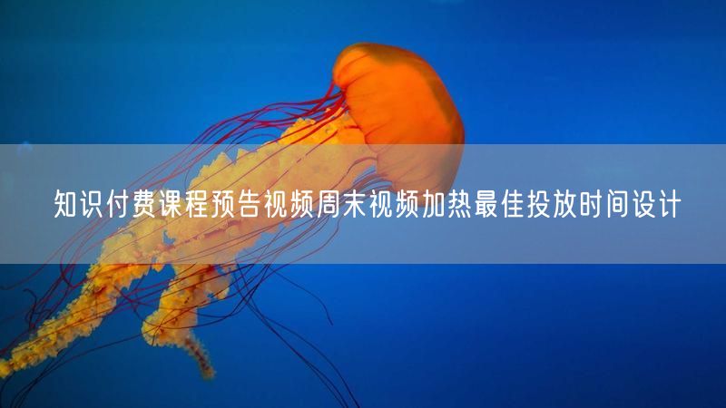 知识付费课程预告视频周末视频加热最佳投放时间设计