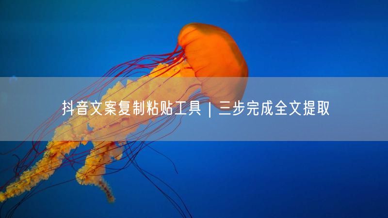 抖音文案复制粘贴工具｜三步完成全文提取