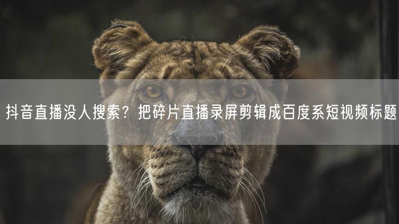 抖音直播没人搜索？把碎片直播录屏剪辑成百度系短视频标题