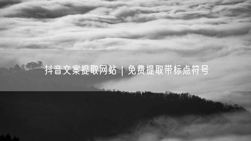 抖音文案提取网站｜免费提取带标点符号