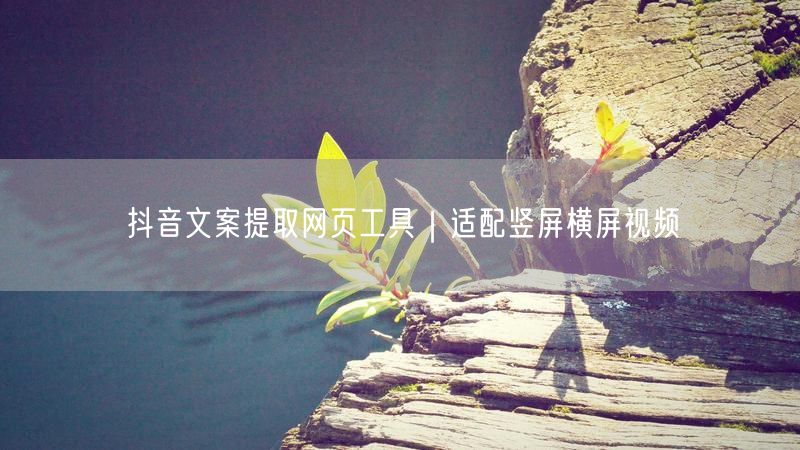 抖音文案提取网页工具｜适配竖屏横屏视频