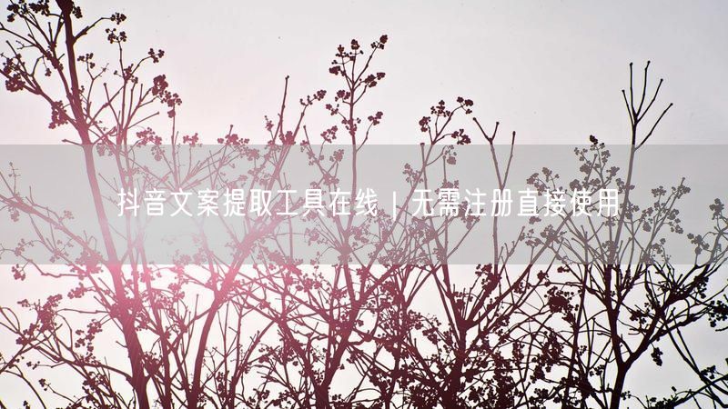 抖音文案提取工具在线｜无需注册直接使用