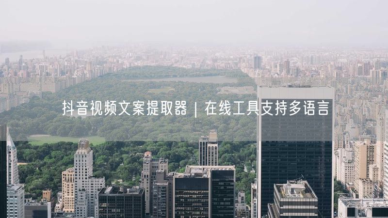 抖音视频文案提取器｜在线工具支持多语言