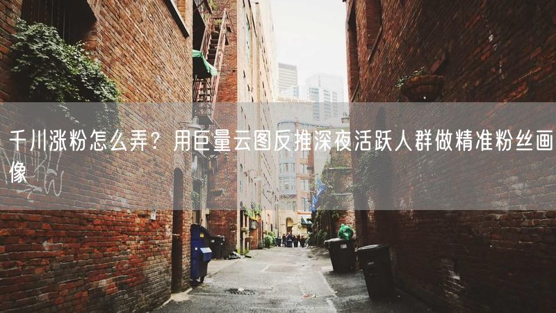 千川涨粉怎么弄？用巨量云图反推深夜活跃人群做精准粉丝画像