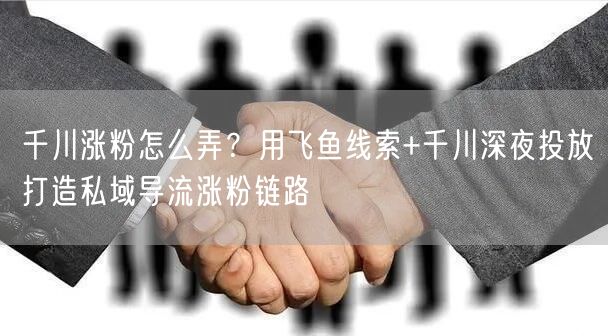 千川涨粉怎么弄？用飞鱼线索+千川深夜投放打造私域导流涨粉链路