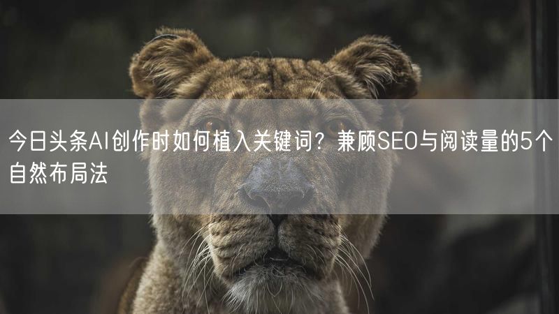 今日头条AI创作时如何植入关键词？兼顾SEO与阅读量的5个自然布局法