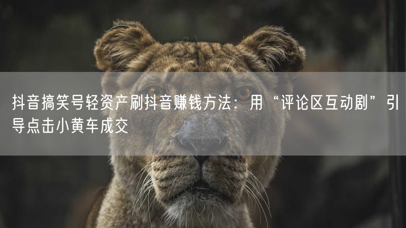 抖音搞笑号轻资产刷抖音赚钱方法：用“评论区互动剧”引导点击小黄车成交