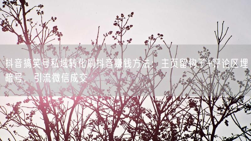 抖音搞笑号私域转化刷抖音赚钱方法：主页留钩子+评论区埋暗号，引流微信成交