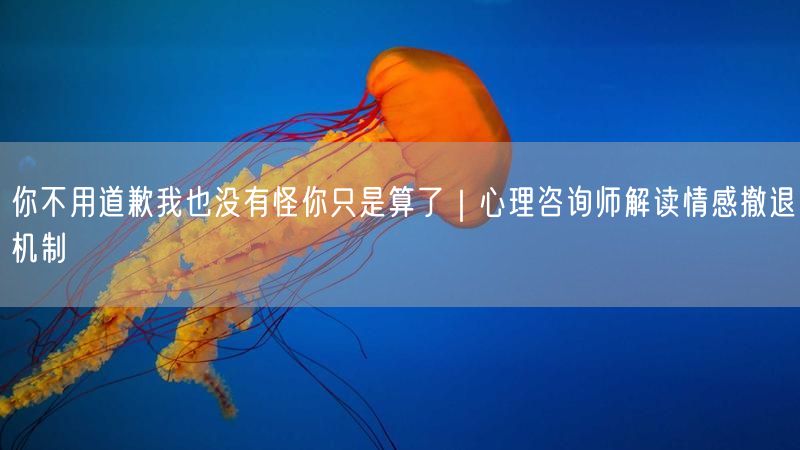 你不用道歉我也没有怪你只是算了｜心理咨询师解读情感撤退机制