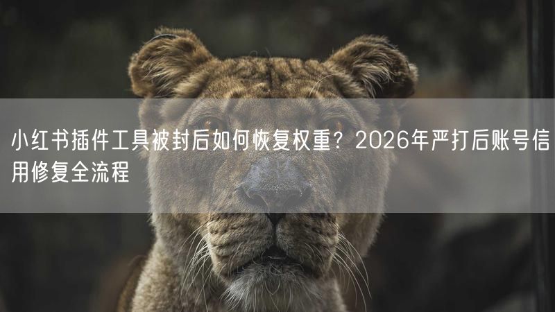 小红书插件工具被封后如何恢复权重？2026年严打后账号信用修复全流程