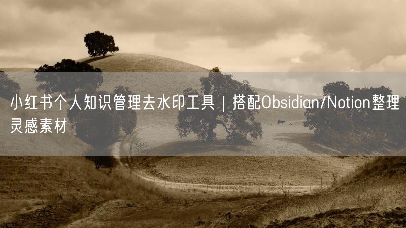 小红书个人知识管理去水印工具｜搭配Obsidian/Notion整理灵感素材
