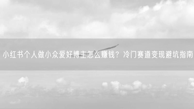 小红书个人做小众爱好博主怎么赚钱？冷门赛道变现避坑指南