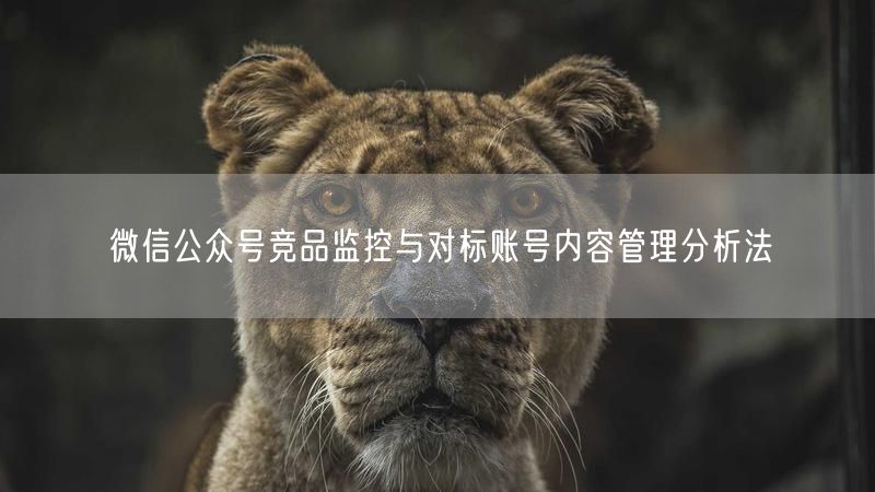 微信公众号竞品监控与对标账号内容管理分析法