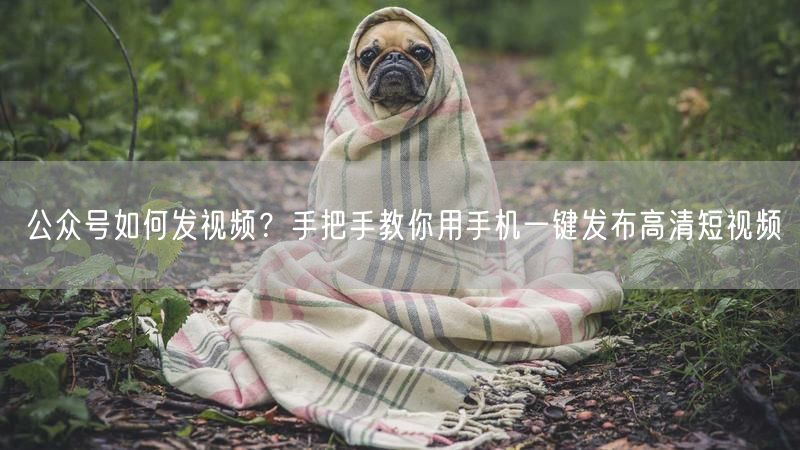 公众号如何发视频？手把手教你用手机一键发布高清短视频