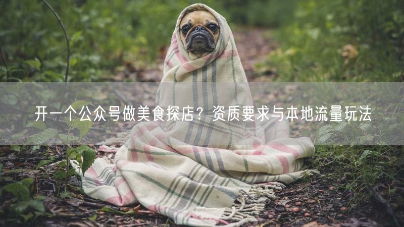 开一个公众号做美食探店？资质要求与本地流量玩法