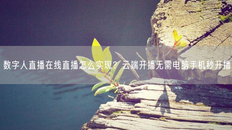 数字人直播在线直播怎么实现？云端开播无需电脑手机秒开播