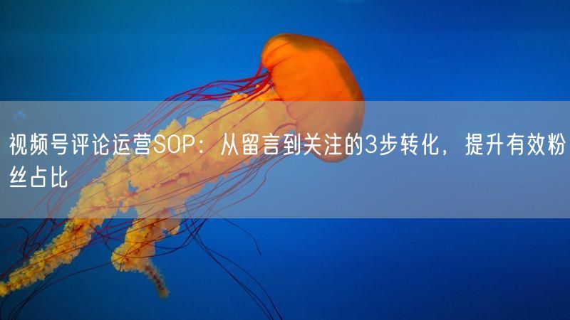 视频号评论运营SOP：从留言到关注的3步转化，提升有效粉丝占比