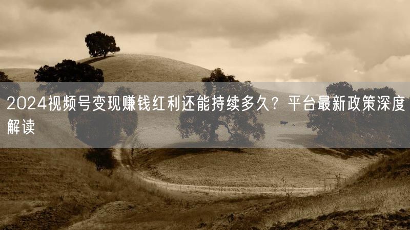 2024视频号变现赚钱红利还能持续多久？平台最新政策深度解读