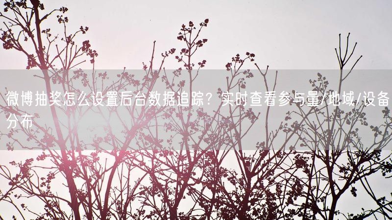 微博抽奖怎么设置后台数据追踪？实时查看参与量/地域/设备分布