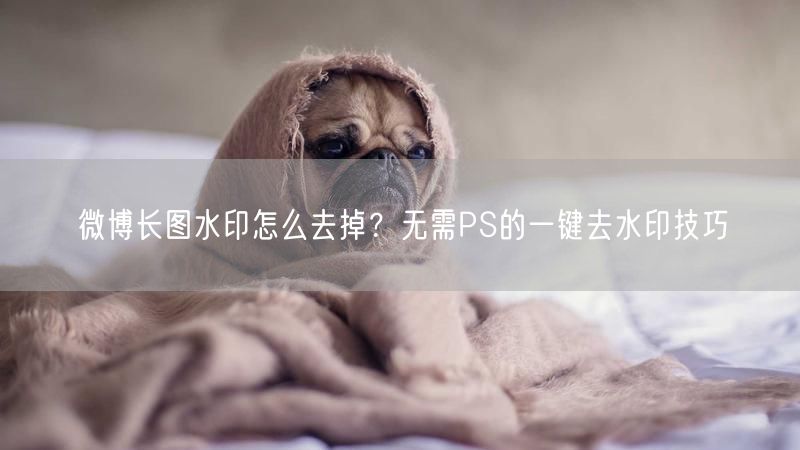 微博长图水印怎么去掉？无需PS的一键去水印技巧