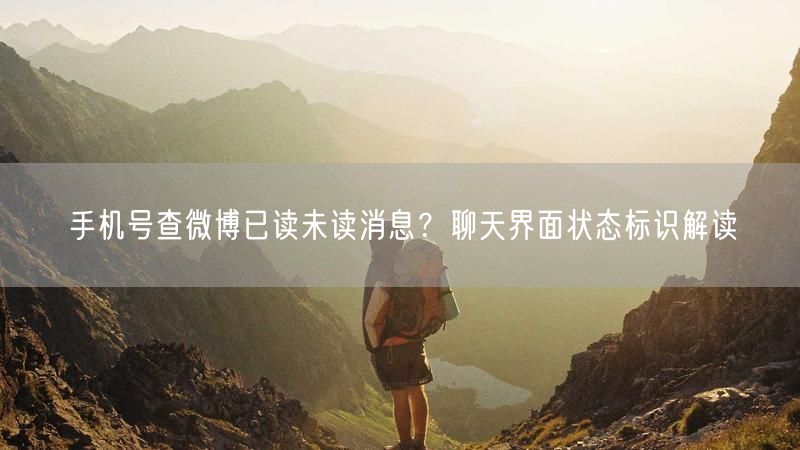 手机号查微博已读未读消息？聊天界面状态标识解读