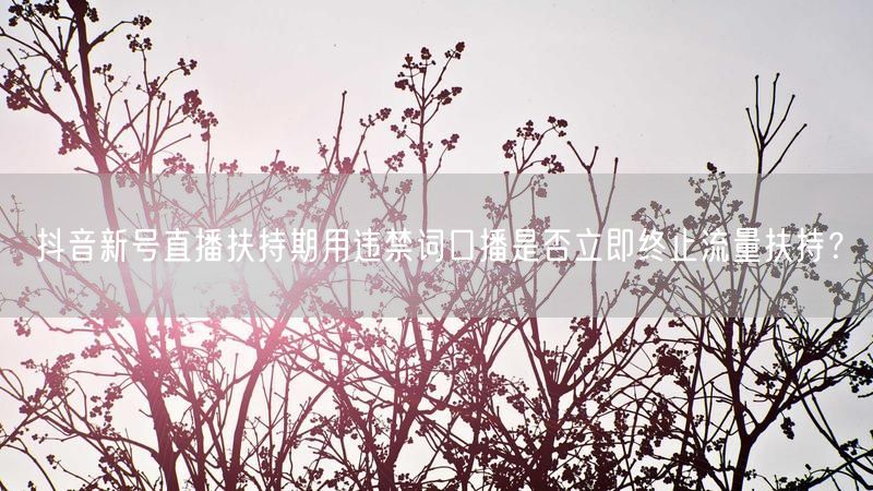 抖音新号直播扶持期用违禁词口播是否立即终止流量扶持？