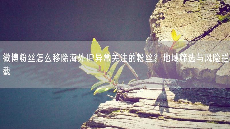 微博粉丝怎么移除海外IP异常关注的粉丝？地域筛选与风险拦截
