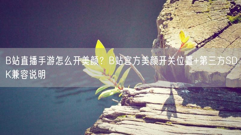 B站直播手游怎么开美颜？B站官方美颜开关位置+第三方SDK兼容说明