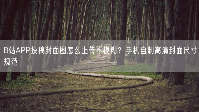 B站APP投稿封面图怎么上传不模糊？手机自制高清封面尺寸规范