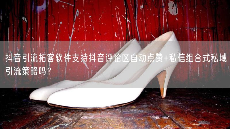 抖音引流拓客软件支持抖音评论区自动点赞+私信组合式私域引流策略吗？