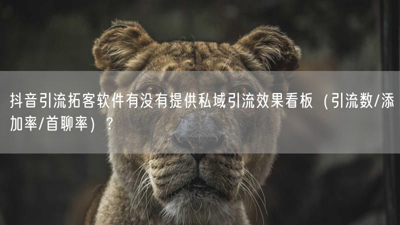 抖音引流拓客软件有没有提供私域引流效果看板（引流数/添加率/首聊率）？