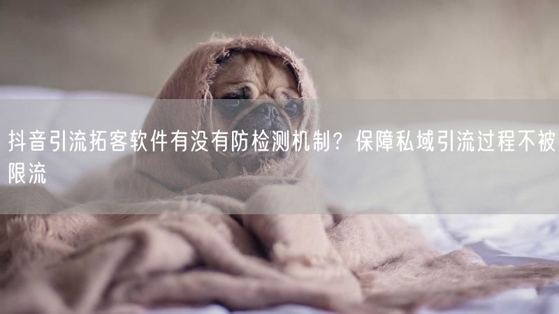 抖音引流拓客软件有没有防检测机制？保障私域引流过程不被限流
