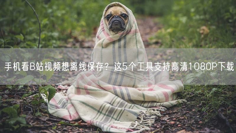 手机看B站视频想离线保存？这5个工具支持高清1080P下载