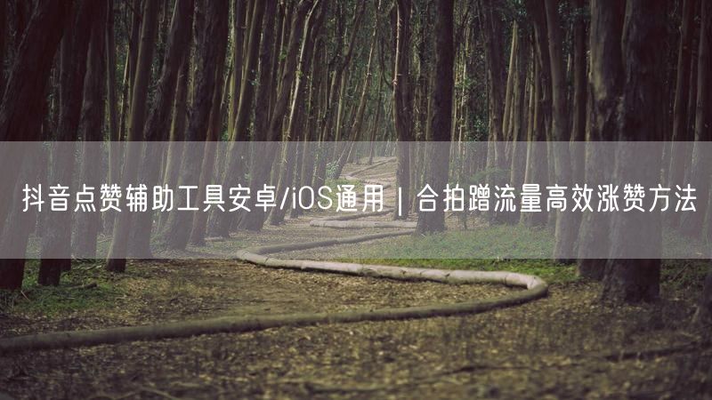 抖音点赞辅助工具安卓/iOS通用｜合拍蹭流量高效涨赞方法