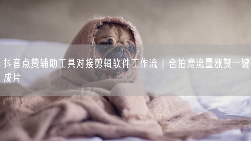 抖音点赞辅助工具对接剪辑软件工作流｜合拍蹭流量涨赞一键成片
