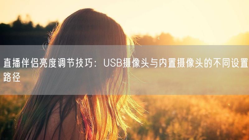 直播伴侣亮度调节技巧：USB摄像头与内置摄像头的不同设置路径