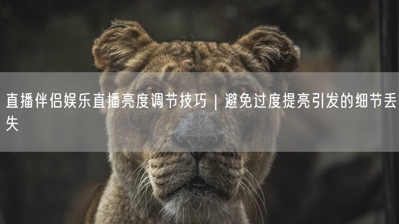 直播伴侣娱乐直播亮度调节技巧｜避免过度提亮引发的细节丢失