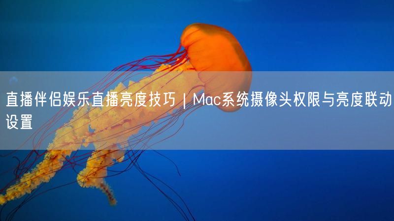 直播伴侣娱乐直播亮度技巧｜Mac系统摄像头权限与亮度联动设置