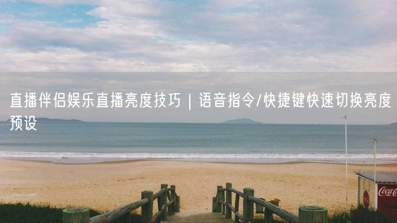 直播伴侣娱乐直播亮度技巧｜语音指令/快捷键快速切换亮度预设