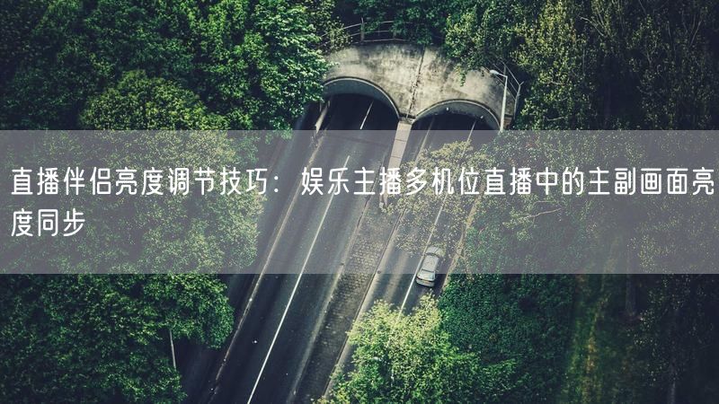 直播伴侣亮度调节技巧：娱乐主播多机位直播中的主副画面亮度同步