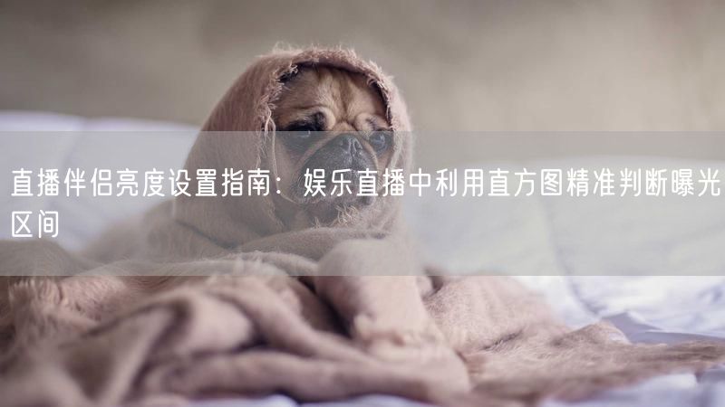 直播伴侣亮度设置指南：娱乐直播中利用直方图精准判断曝光区间