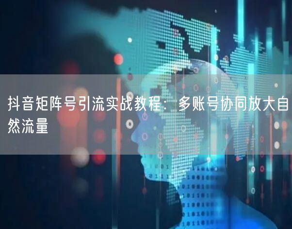 抖音矩阵号引流实战教程：多账号协同放大自然流量